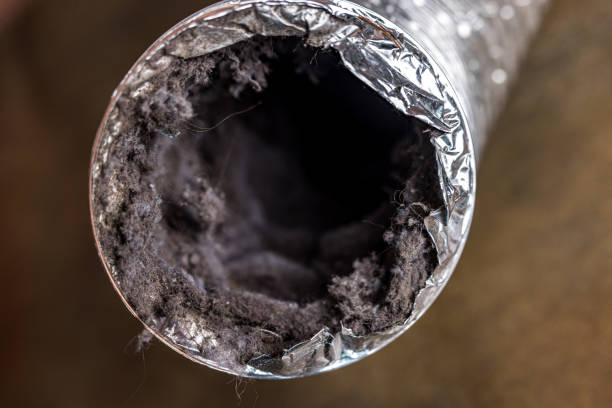 Best Residential Air Duct Cleaning  in Naples Manor, FL