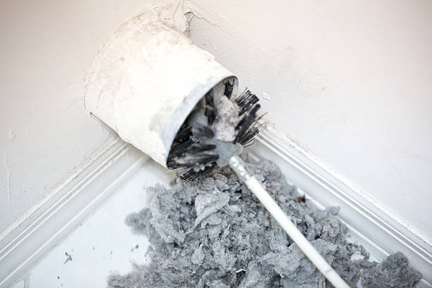 Best Air Vent Cleaning Services  in Naples Manor, FL